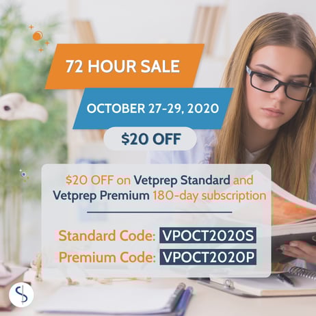 2020Nov_VP72hrSale_InstagramB
