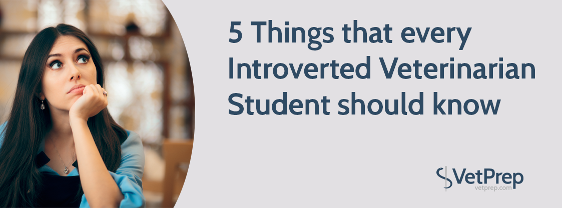 BlogHeader-5-Things-that-every-Introverted-Veterinarian-Student-should-know