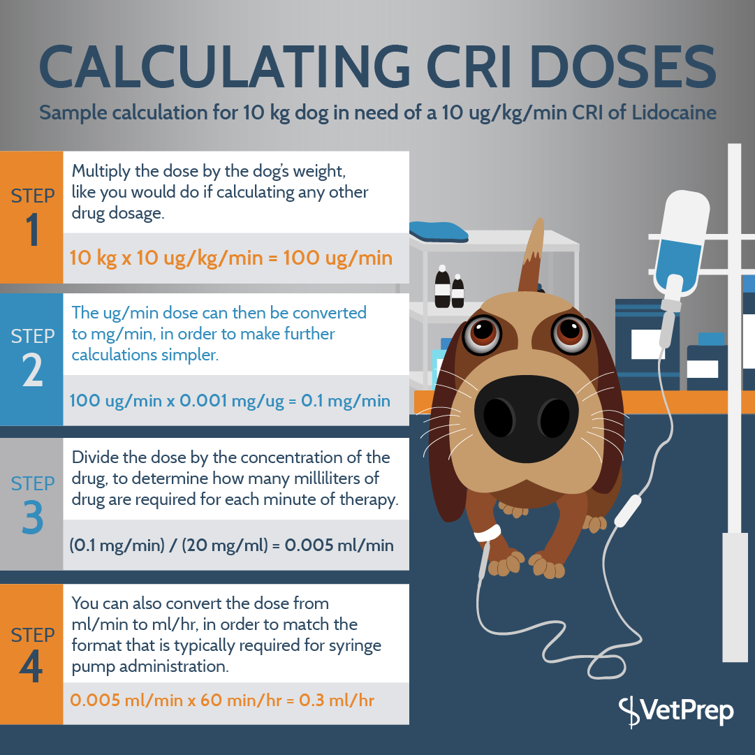 CRICalculationInfographic_Instagram Post Template 2 copy