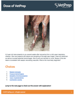 Dose-AUG2019WD3-mare-thumbnail