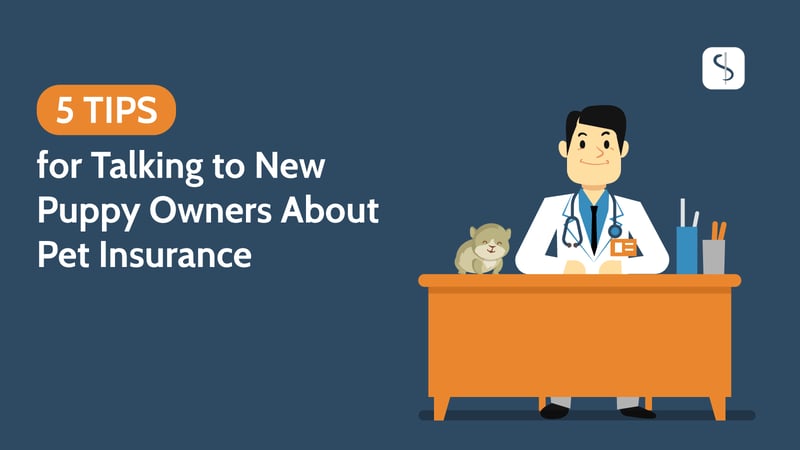 5 Tips for Talking to New Puppy Owners About Pet Insurance