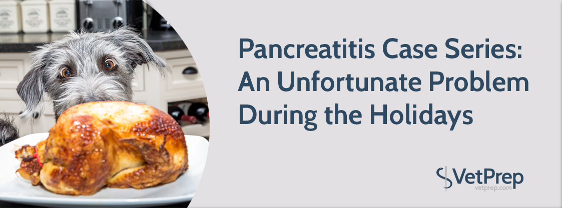 Pancreatitis-Case-Series--An-Unfortunate-Problem-During-the-Holidays