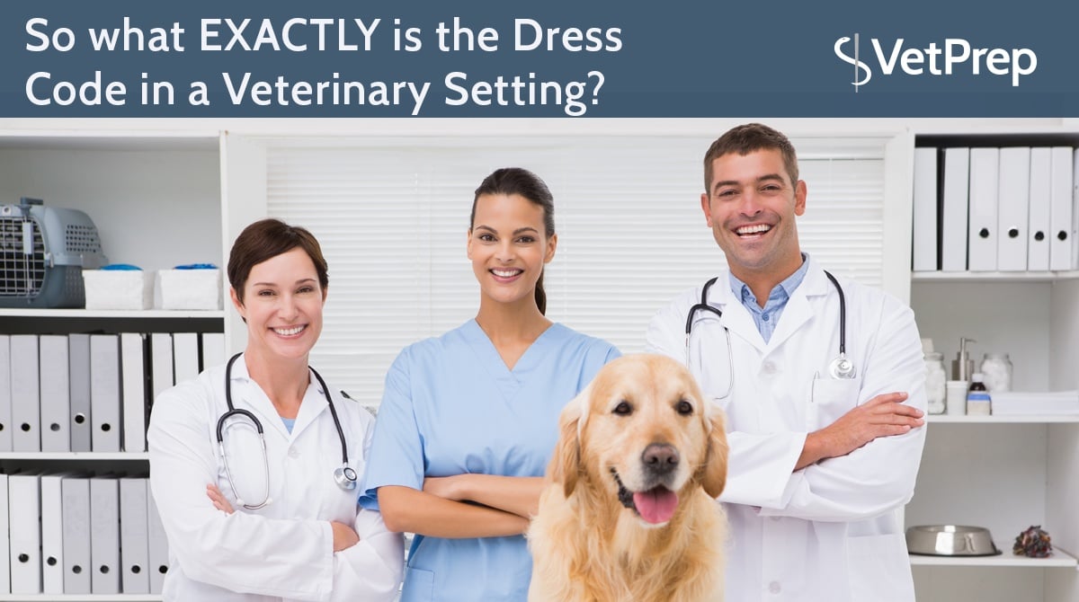 So-what-EXACTLY-is-the-Dress-Code-in-a-Veterinary-Setting-