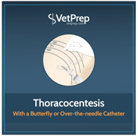 Thumbnail-thoracocentesis