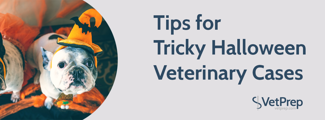 Tips-for-Tricky-Halloween-Veterinary-Cases