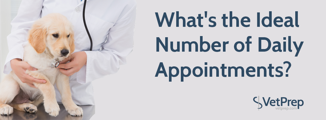 VPHEADER-What's-the-Ideal-Number-of-Daily-Appointments