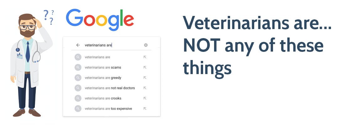 Veterinarians-are….NOT-any-of-these-things-(except-real-doctors)-1