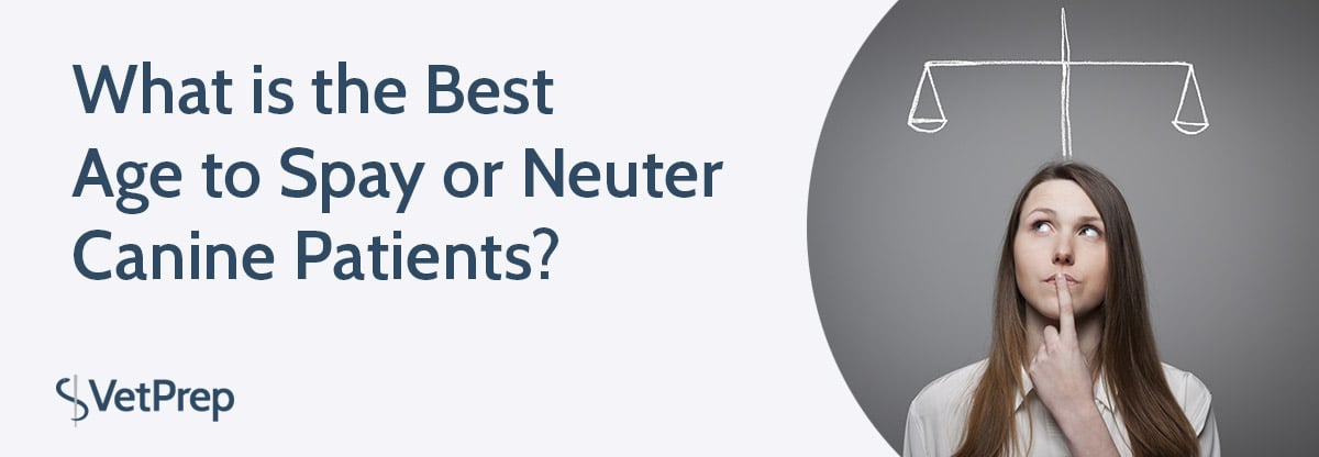 Best age hot sale to neuter