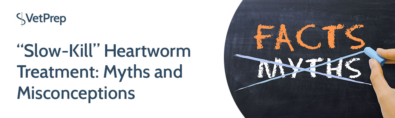 Slow Kill Heartworm Treatment Myths and Misconceptions