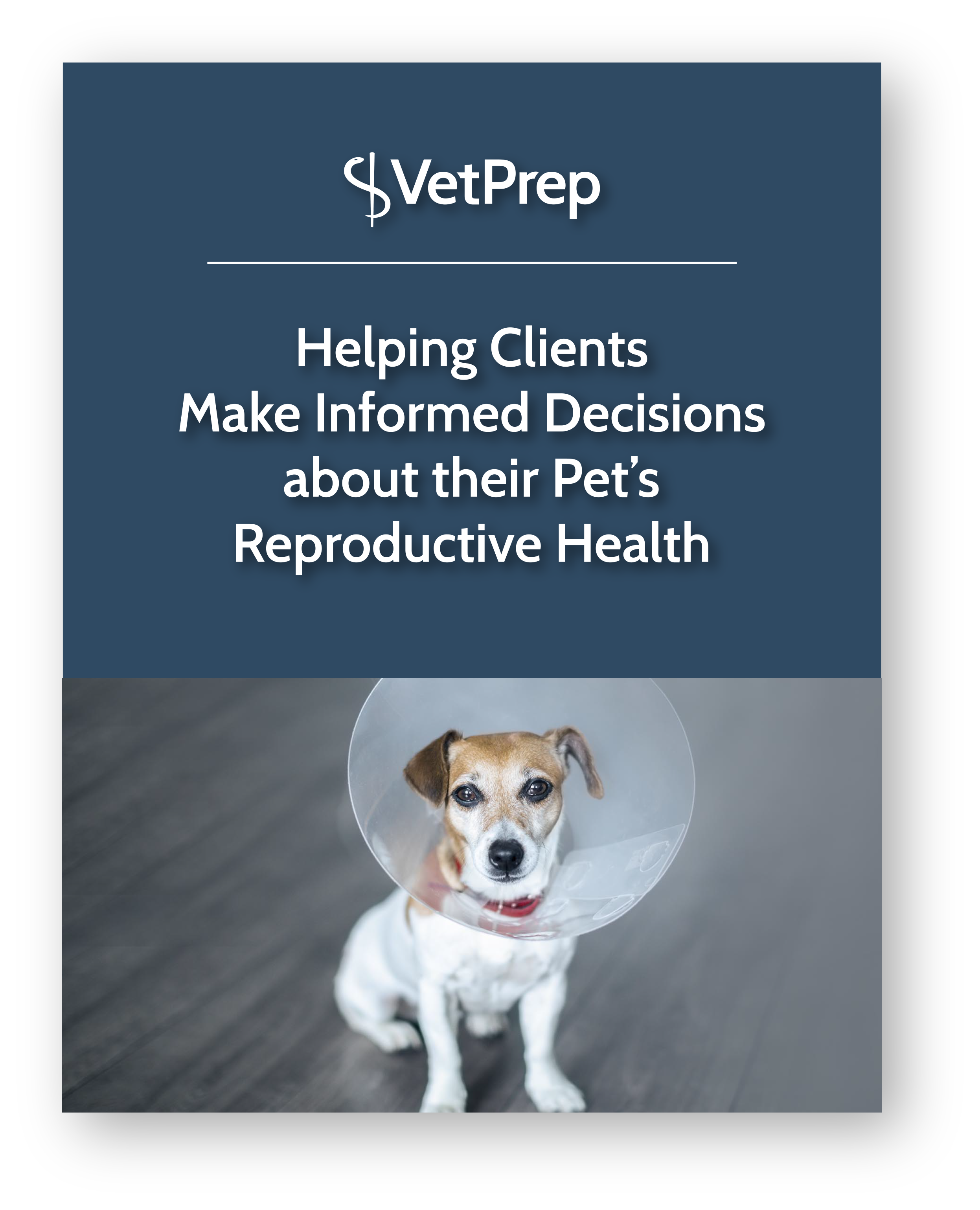 The Pet Health Encyclopedia A Comprehensive Guide To Vca Animal Hospital Locations That Will Empower You To Make Informed Decisions - 0d7boj3
