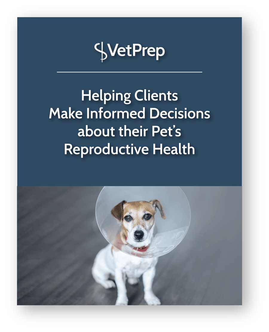 helping-clients-make-informed-decisions-about-their-pet-s-reproductive